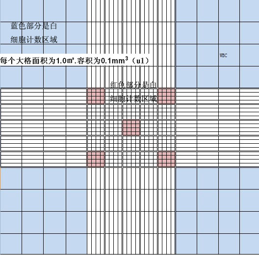 原創血球計數板的使用