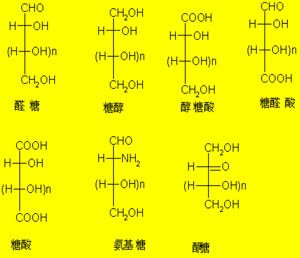 转糖类的化学变化全篇完